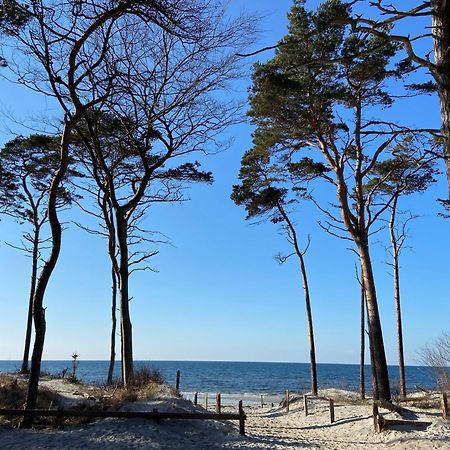 Ferienwohnung Strandkoje Dierhagen Luaran gambar