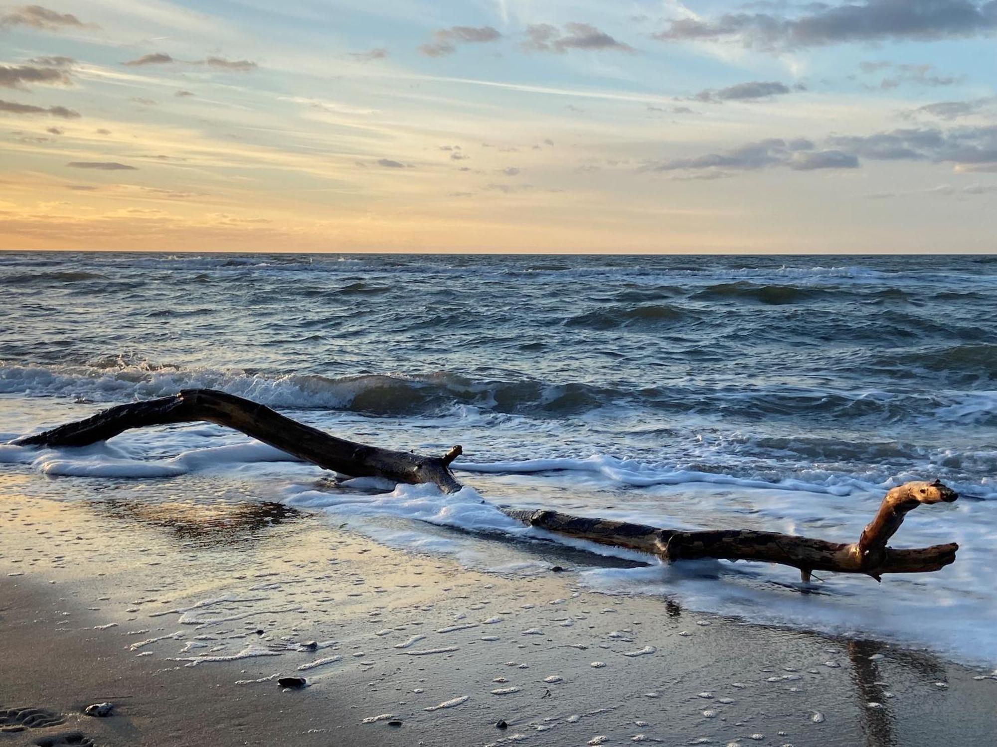 Ferienwohnung Strandkoje Dierhagen Luaran gambar