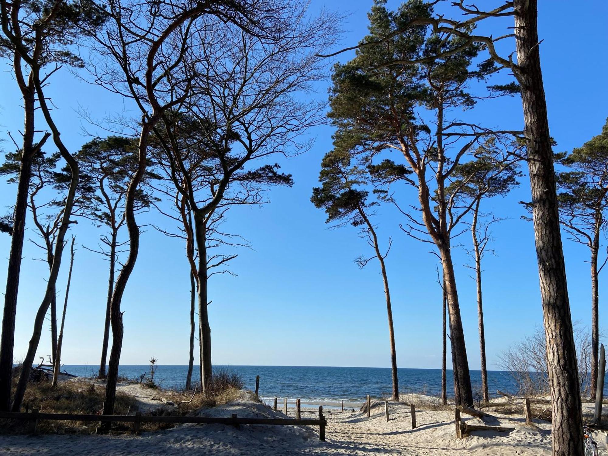 Ferienwohnung Strandkoje Dierhagen Luaran gambar